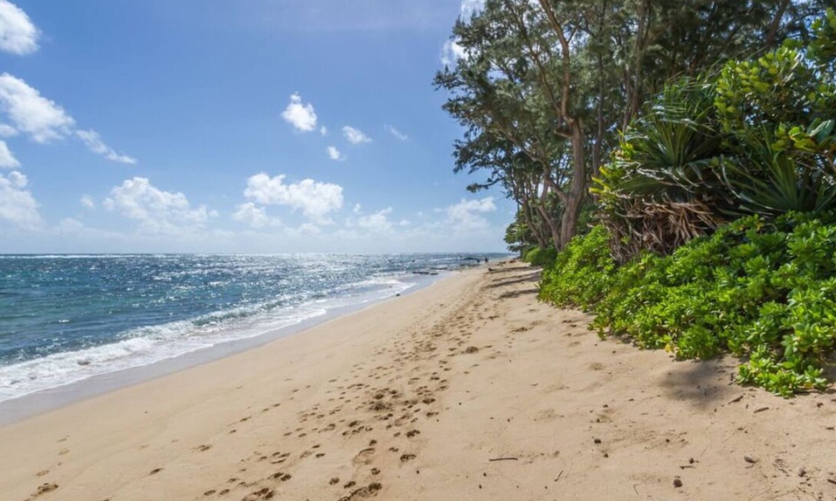 Punaluu Apartment | Aloha Studio – AC, Near Beach, Near PCC