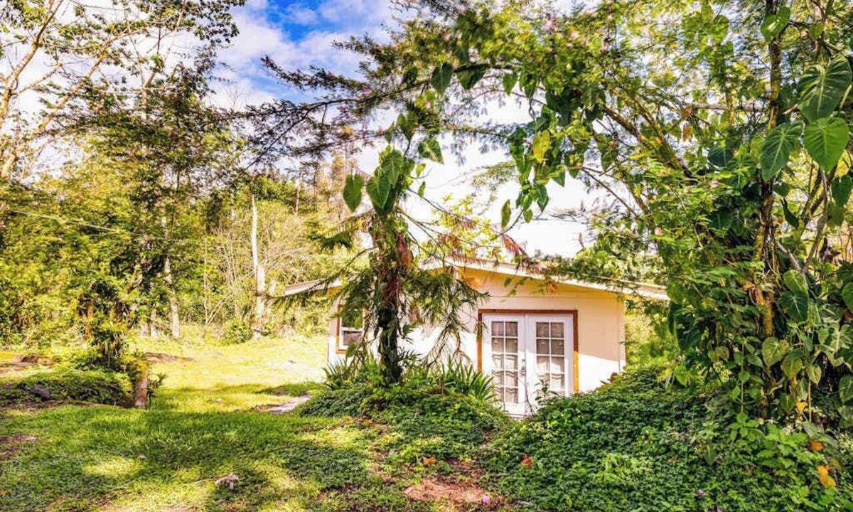 Kapoho Apartment | Dog-Friendly Pahoa Studio Near the Beach & Town with Fast WiFi