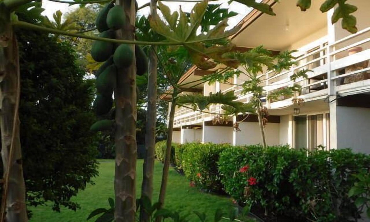 Kahaluu Bay Apartment | Kona White Sands A4 Romantic Ocean View!