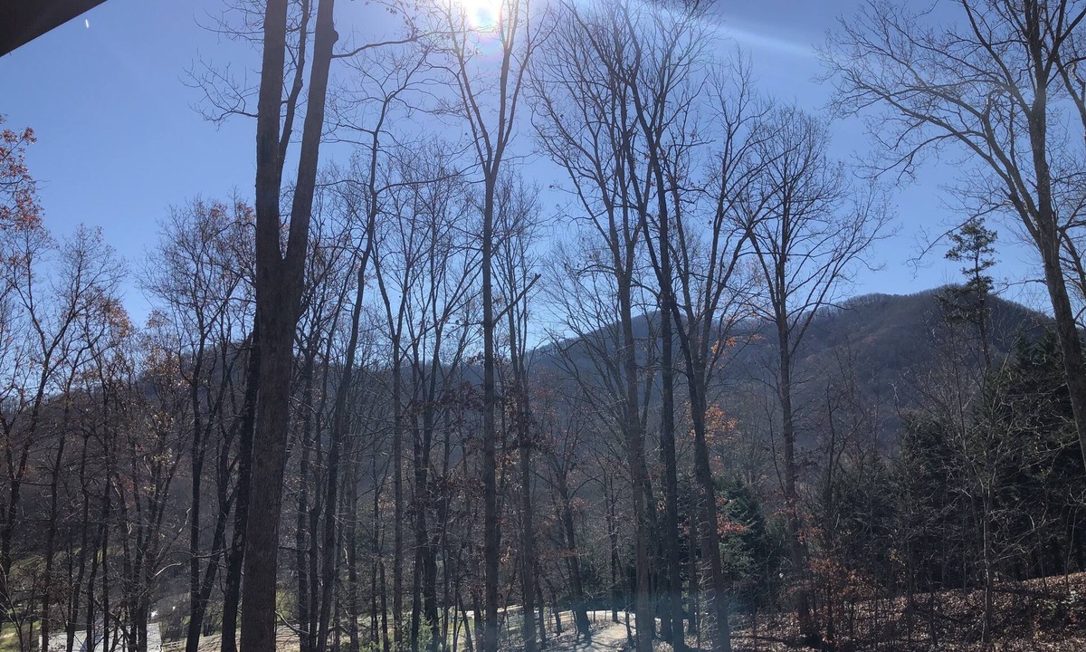 Candler Cabin | Mountain Views, Fire Pit, Minutes From Downtown Asheville