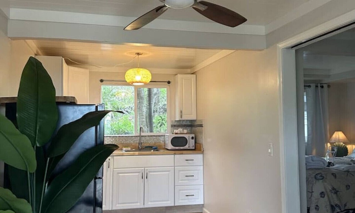 Ocean View Condo | Starfish Studio Newly remodeled beautiful studio