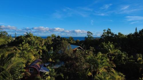 Puna Palisades House | Tiny House & Sauna-Walk to Kehena Beach - Close to Lava Hot Springs