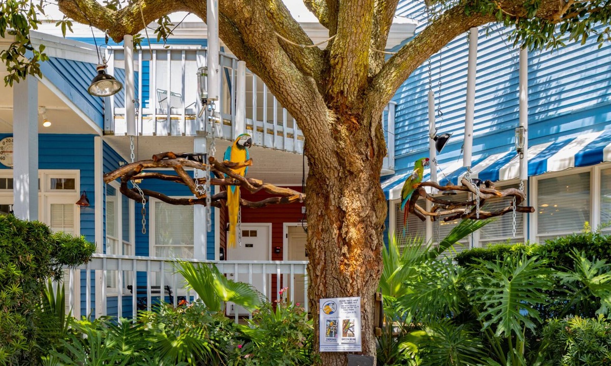 South Beach Condo | Walk to Beach/Walk to Salty Dog/2nd Row Ocean/Ground Floor/Stunning Sunsets