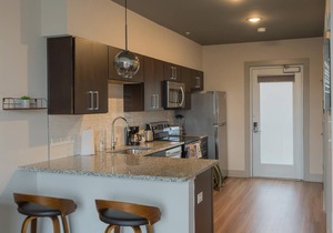 Studio King Suite with Kitchen | 202