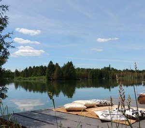 Waterfront Trout 