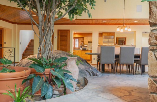 Chapel Hill House | A natural oasis and architectural wonder in Chapel Hill