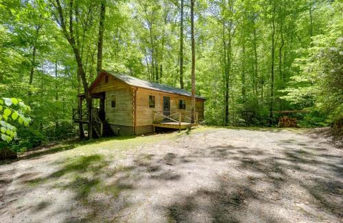 Vein Mountain House | All-Season Sunroom + Hot Tub: Marion Cabin Retreat