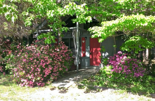 Sautee Nacoochee Cottage | Bear Paw Cottage #5 Queen Log Bed: COZY!: Pet Friendly; 2 Adults/2 Children