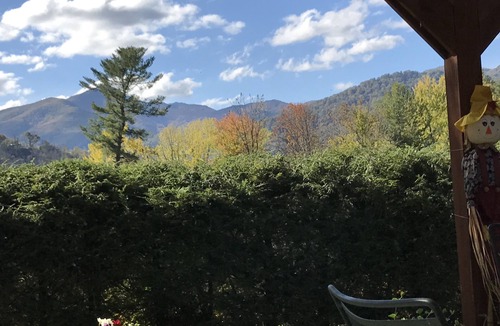Waynesville Cottage | Blue Ridge Cottage Walking Distance to Downtown Waynesville