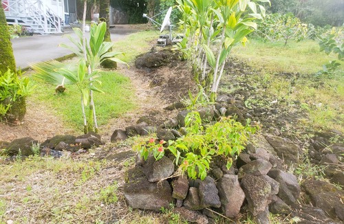 Keaau House | Charming AFrame home w/2BR, 2BA, office suite, AC, WiFi & outdoor living