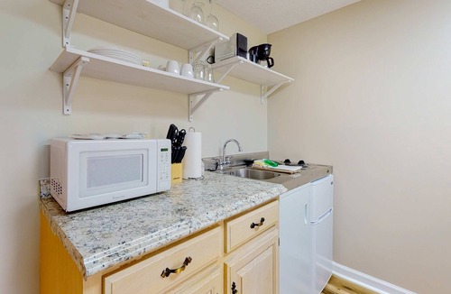 Baneberry House | Charming Studio, Sleeps 4, Close to Douglas Lake