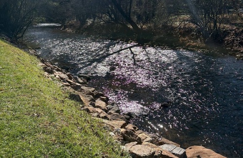 Bryson City Cottage | Cozy studio cottage on beautiful Deep Creek near Great Smoky Mtns. Park