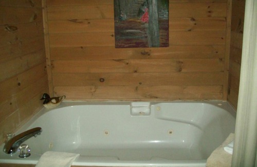 Blairsville Cabin | Helton Falls Lodge-Squirrels Nest cabin