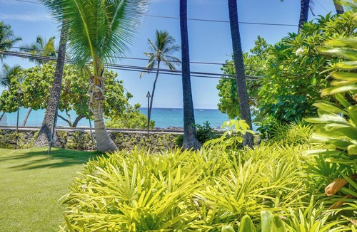 Historic Kailua Village Apartment | Kailua-kona Group Getaway: 5-unit Bundle!