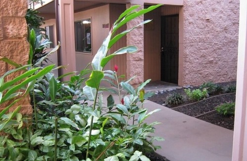 Kihei Condo | Kihei Alii Kai,1/2 blk Kam 1 beach, I will consult/plan for authentic experience