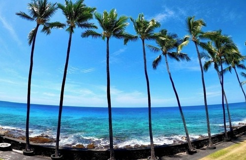Kahaluu Bay Condo | Magic Sands Ocean Front Condo. Kailua-Kona