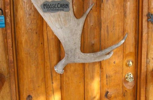 Anchor Point Cabin | Moose Cabin