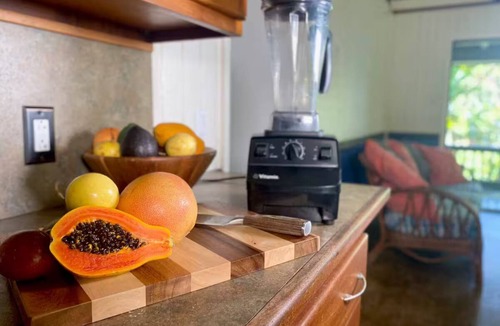 Pahoa House | Ocean View Solar-Powered Jungle Retreat