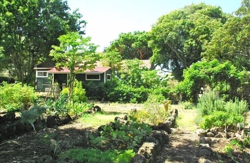 Hawi House | Ocean Views, Swimming Pool Access, Historic Cottage