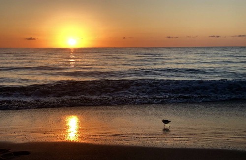 Juno Beach House | Oceanfront Beach Cottage with Private beach access in beautiful Juno Beach.