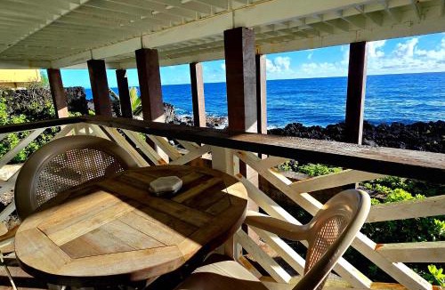 Kapoho House | Oceanfront studio see whales and dolphins