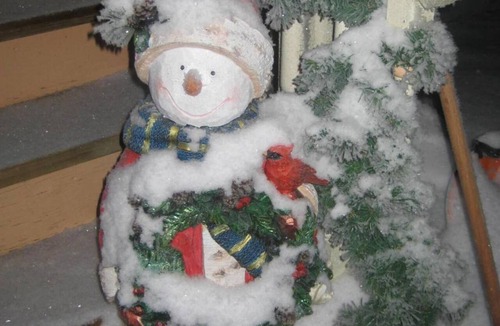 Stettler Bed & Breakfast | Phoenix House B&B