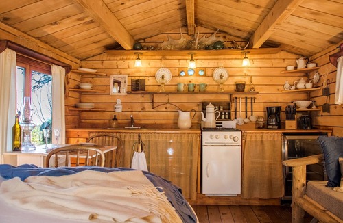 Seldovia Village Cabin | Pioneer Cabin, Stunning Views, Glacier, Park, Kayaks, Fishing, Bear Viewing.