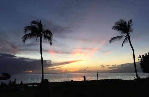 Kaanapali Cottage | Private 2B cottage, walk to Kahekili bch!