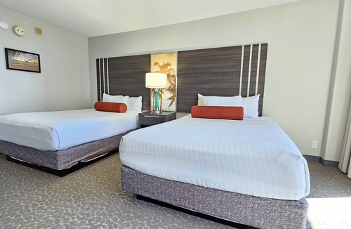 Waikiki Hotel | Recently Renovated Studio in Palms at Waikiki