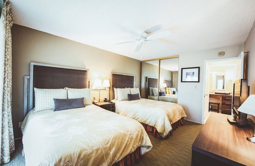 Wailua Hotel | Seaside Sanctuary! 4 Amazing Suites w/Garden View | Close to Nearest Beach