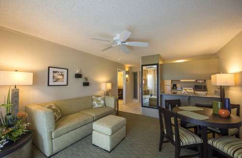Wailua Hotel | Seaside Sanctuary! 4 Amazing Suites w/Garden View | Close to Nearest Beach