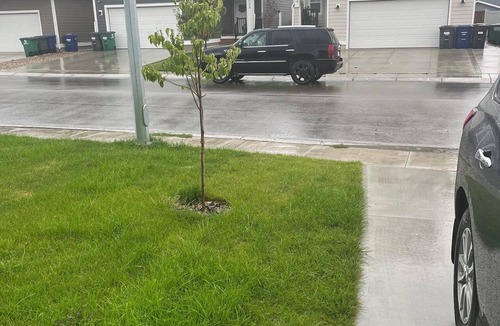 Saskatoon House | Separate Entry 1 Bed/1Bath Basement Unit in Rosewood.