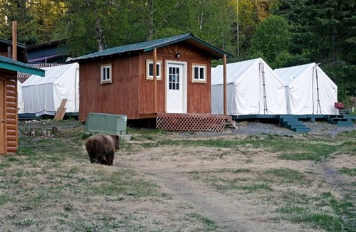 Cooper Landing Cabin | Small Group Cabin Ideal to Relax and Explore Nature in Alaska