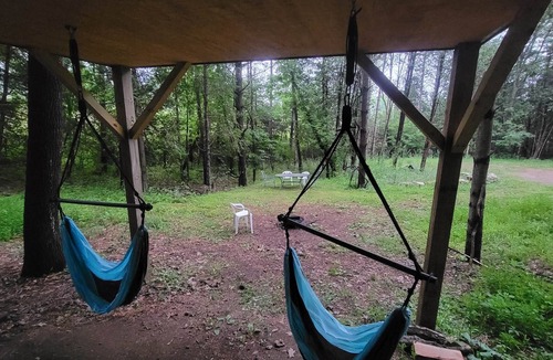 Elba Cabin | Tiny Treehouse Cabin | Bluff Woodlands #2