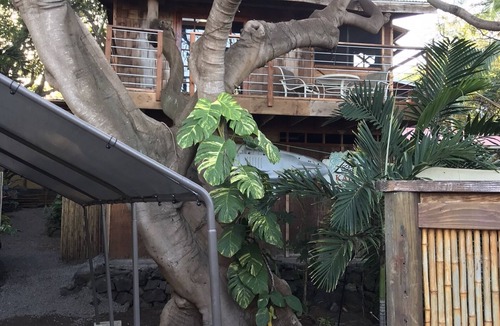 Kahaluu Bay House | Unique Treehouse at Magic Sands beach, ocean view