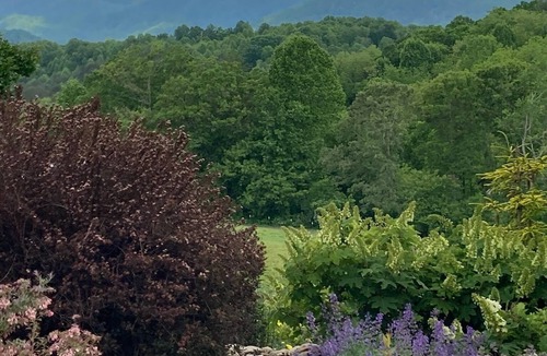 Leicester House | Welcome to Carol's Castle! Mountain views & horses within 15 min of DT Asheville