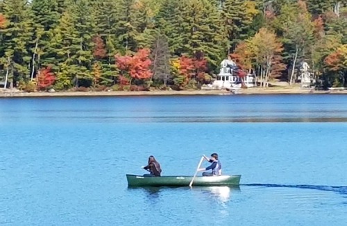Dryden Apartment | Wilson Lake Inn Lakefront Getaway w/Kayaks & Canoe, Porch & Lake Views, Maine