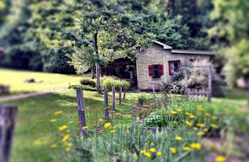 Tiger Cottage | Zen Mountain Cabin: Forest-Bathing & Private Waterfall in Wine Country