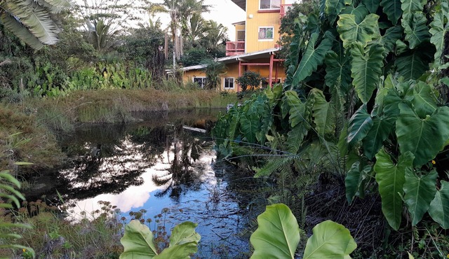 3 Rooms in Estate House with private access to volcanic steam sauna caves!