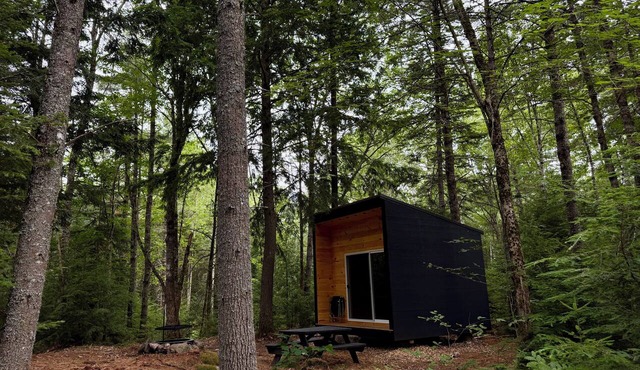 Applecroft Cabin No. 3 - Modern off-grid cabin deep in the woods. in Waldoboro