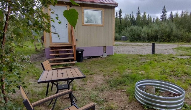 Aurora Moose Getaway - a cozy & private cabin great for northern lights & moose