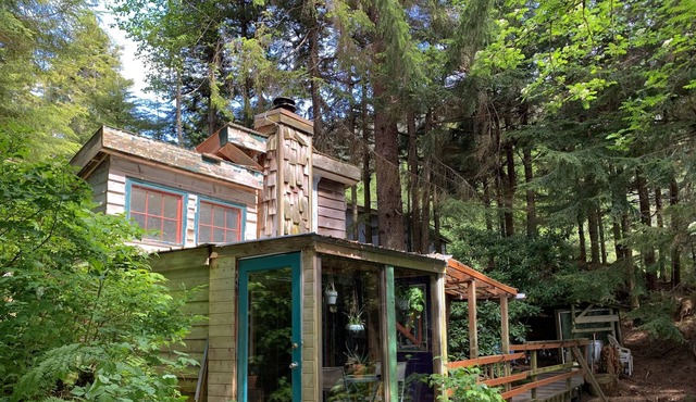 Authentically Alaskan Ocean View Dry Cabin in Juneau