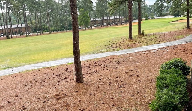 Available for 2024 US OPEN Cozy Golf Condo near Pinehurst with an EV Plug