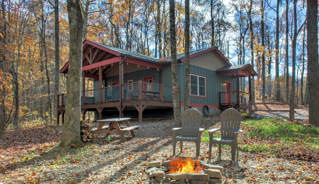 Baby Bear Cabin on Bearwallow Mountain | Hot Tub, Fire Pit, EV Charger