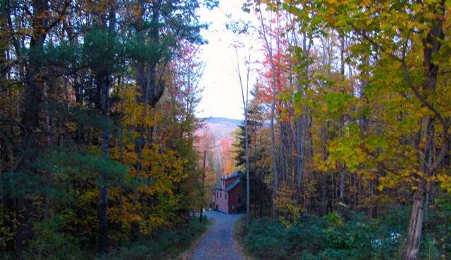 Beautiful 3-bedroom Log Cabin On 50+ Acres Overlooking the White Mountains in Bath
