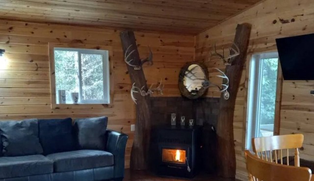 Beautiful All Equiped Eagle Lake View Cottage in Waldhof