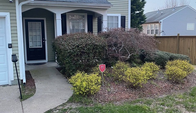 Cheerful 4-bedroom in residential neighborhood free parking