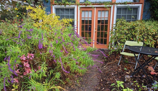 Chic Art Cottage in Historic Candler Park - Near Mulberry Fields, Close to City Buzz