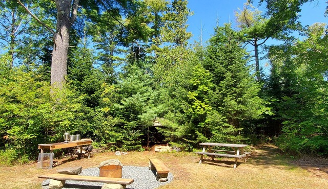 Chickadee Hollow: Rustic Eco Camping near Acadia National Park! in Surry