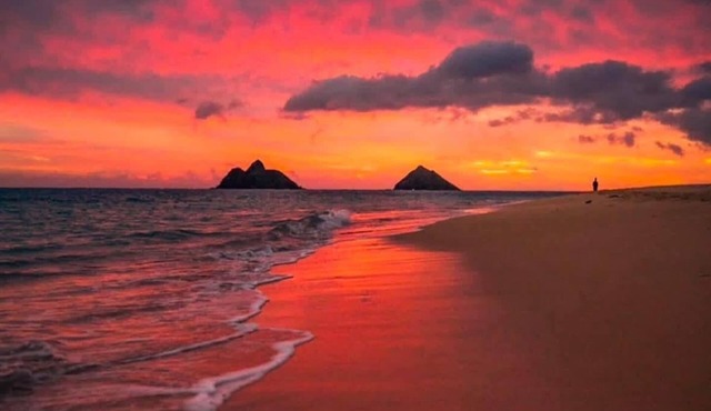 CHRISTMAS AVAILABILITY! Charming Lanikai Kailua Cottage. Custom Stay Requests.